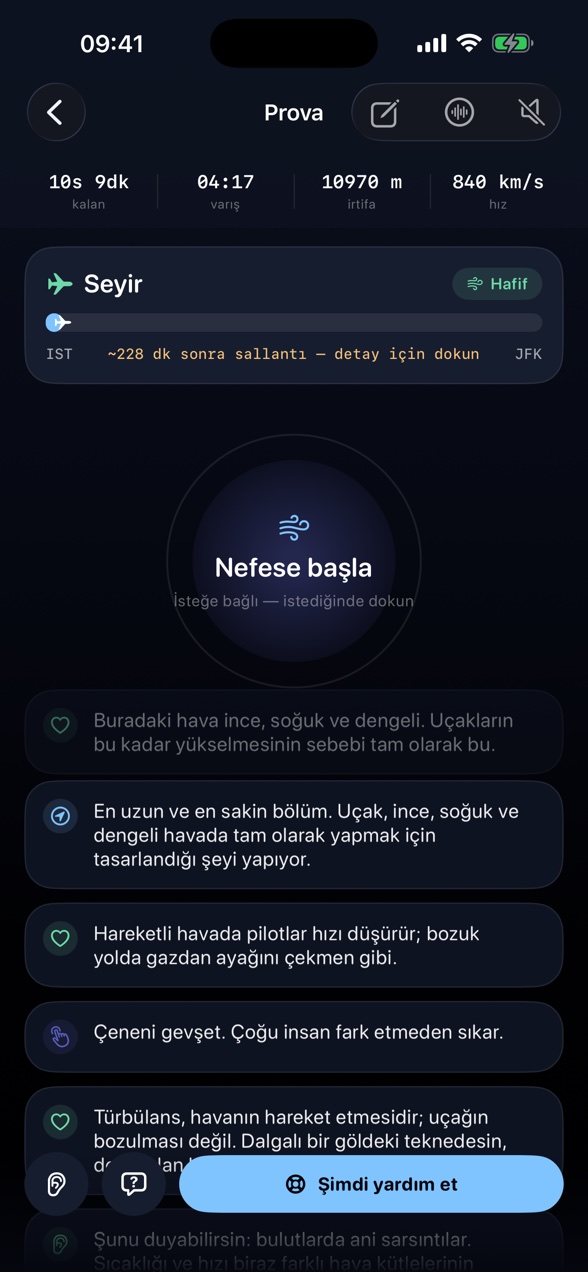 Canlı yol arkadaşı: uçuşun her evresinde ne olduğunu anlatır