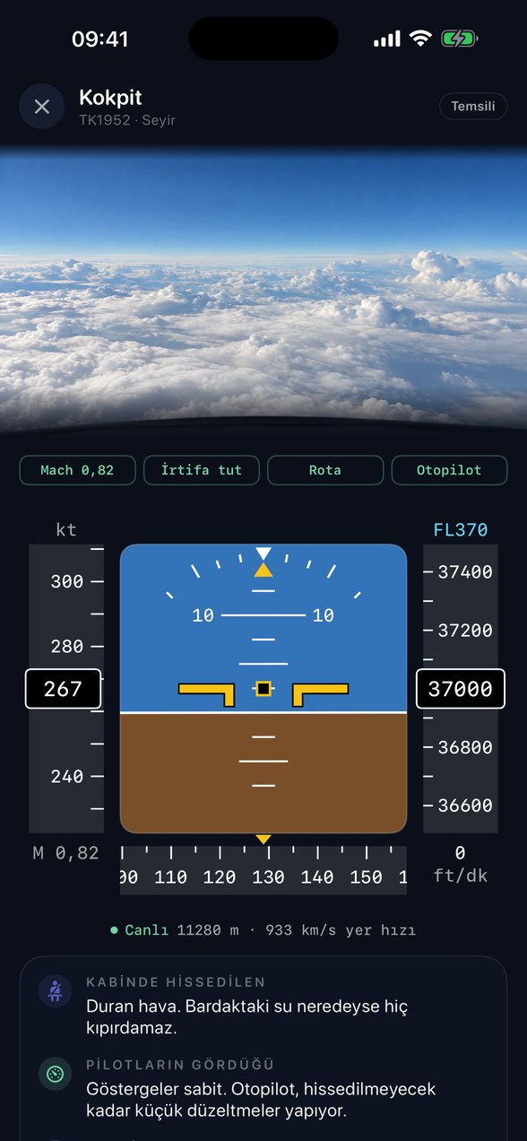 Kokpit: pilotların ekranında şu an ne göründüğü, canlı veriyle